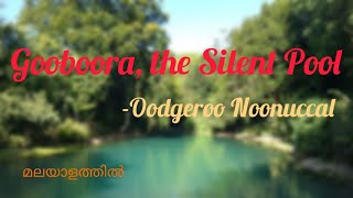 Gooboora  the Silent Pool stanza by stanza explanation with themes [upl. by Nakeber895]