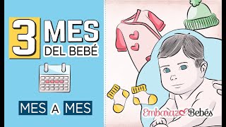 📆👶🏻 TERCER MES del bebé  3 MES  Desarrollo y cuidados [upl. by Ijies]