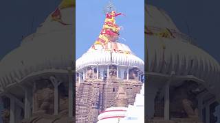 Dipatie Mote Karidia Prabhu jagannath jagannathbhajanbhajanodia odiabhajanshortsviralshorts [upl. by Yruy]