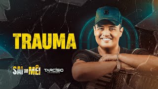 TRAUMA  Tarcísio do Acordeon CD Sai do Mêi [upl. by Ecad]