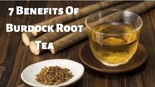 7 Benefits Of Burdock Root Tea [upl. by Ecarg267]