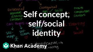 Self concept self identity and social identity  Individuals and Society  MCAT  Khan Academy [upl. by Alfeus431]