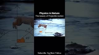 Physics  Projectile Motion  Class 11th physics physicswallah adda247 unacademy [upl. by Burg]