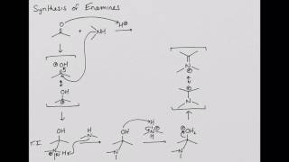 Alkylation of Enamines [upl. by Redla]