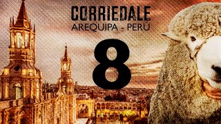 Corriedale Arequipa  Perú  8 [upl. by Milla]