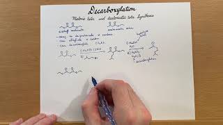 Decarboxylation Malonic Ester and Acetoacetic Ester Synthesis [upl. by Annerb]