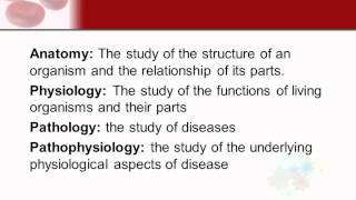 Chapter 1  Intro to Structures amp Function of the Body [upl. by Pickett747]