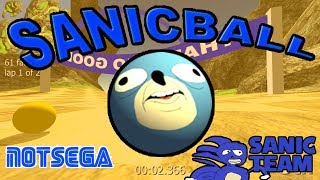 Sanic Ball Gameplay [upl. by Ynitsed617]