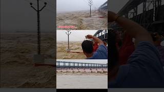 Koshi bridge aaj ka news shorts ytshorts [upl. by Vassily]