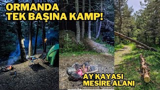 Ormanda Tek Başına Kamp  Yaban Domuzları Geldi  Ay Kayası Mesire Alanı [upl. by Aicekal]