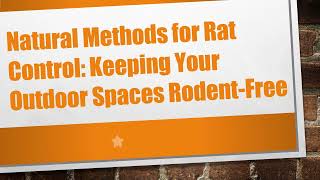 Natural Methods for Rat Control Keeping Your Outdoor Spaces RodentFree [upl. by Hough485]