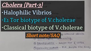 CholeraPart3  Halophilic vibrios  E1 Tor biotype  Classical biotype  V cholerae  Short note [upl. by Enyleuqcaj412]