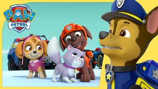 Over 1 Hour of Chase Ultimate Rescue Episodes  PAW Patrol  Cartoons for Kids Compilation [upl. by Hiamerej282]