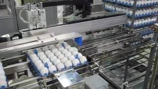 Robotic Carton Loader [upl. by Inohtna]