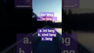 shorts weg 德语学习  Der Weg ist lang Deutsch lernen und die Grammatik verstehen almancaöğren [upl. by Sainana]