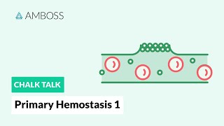 Primary Hemostasis  Part 1 Platelet Adhesion [upl. by Inava]