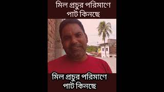 মিল প্রচুর পরিমাণে পাট কিনছে। myfirstkobutorvlog jute [upl. by Gibbeon]