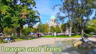 Central Belgrade park near the parliament Pine trees and at the end you will see a cute squirrel [upl. by Lundgren]