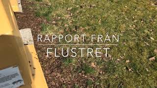 Rapport från flustret [upl. by Nueoras465]