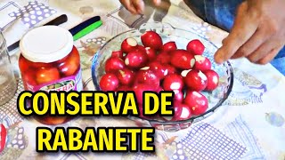 CONSERVA DE RABANETE VEJA ESSA RECEITA FICA MUITO BOM [upl. by Tham680]