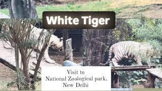 VISIT TO NATIONAL ZOOLOGICAL PARK  NEW DELHI [upl. by Hallam]