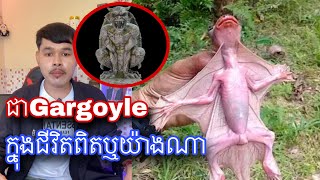 មកស្គាល់សត្វចម្លែកស្រដៀងបីសាចក្នុងរឿងនិទានហើយមាននៅកម្ពុជាផងដែរ l MrVeasna [upl. by Ahsiekal]