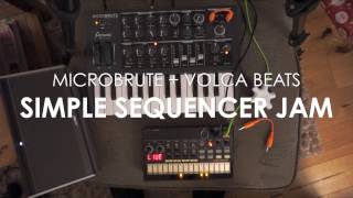 Microbrute  Volca Beats Simple Sequencer Beat and Bass [upl. by Nylzzaj]