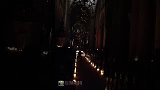 Candlelight concert Grote Kerk Dordrecht met het Hydra quartet 14102023 [upl. by Catto362]