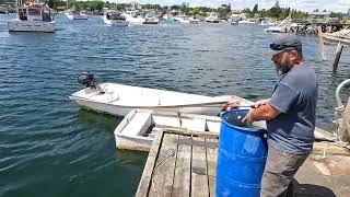 Maine fishing from the shore [upl. by Akeemat]