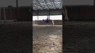 I fell off Sammy today😭 but anywayyyy I had such a greattt ride budsthepony [upl. by Berton]