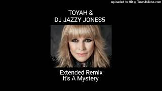 TOYAHITS A MYSTERY A SHOT EXTRA EXTENDED REMIX by DJ JAZZY JONES5 [upl. by Irac]