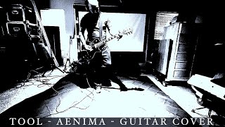 TOOL  AENIMA  GUITAR COVER  with visuals [upl. by Anyr936]