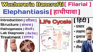 Wuchereria Bancrofti  Filarial Worm  Elephantiasis  हाथीपावा  Parasitology Notes  Microbiology [upl. by Isewk]