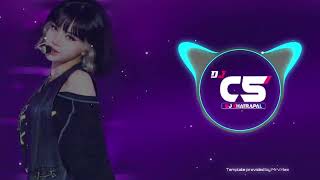 Gajra Wali Beni wali CG song new  Dj remix  Dj CS Official x Dj song x Sunil Official [upl. by Jonah309]