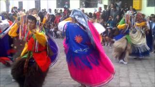 DANZA de CHIMBORAZOwmv [upl. by Torrell973]