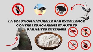 La solution naturelle par excellence contre les acariens et autres parasites externes [upl. by Barabas155]