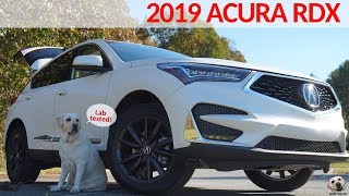 2019 Acura RDX Andie the Lab Review Acura LabTESTED AndietheLab [upl. by Roede]