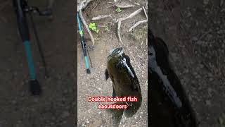 Double hooked fish fishingfishlakegeorgeeaoutdoorstrendingviralvideo [upl. by Graniah]