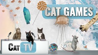 Cat Games  Ultimate Cat TV Compilation Vol 6  1 HOUR 🐱📺🐶🍭🧀🐔🐟🌊🐭🌱 [upl. by Avek]