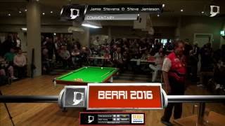 Nick Young v Peter Butterworth  FINAL  Berri Open 8 Ball 2016 [upl. by Hersh456]