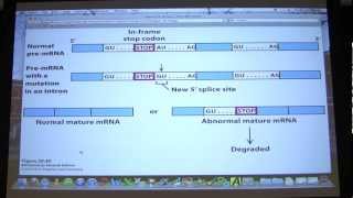 47 Biochemistry Transcription III  Translation I Lecture for Kevin Aherns BB 451551 [upl. by Narot603]