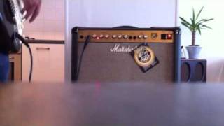 Marshall JTM 30 2X10 [upl. by Malchy]