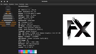 Install Delir Video FX in Linux MODICIA OS calamares configure linux technology [upl. by Enneite]