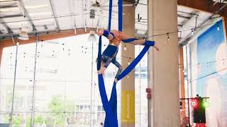 Rowan Aerial Silks Performance SALT [upl. by Ianthe194]