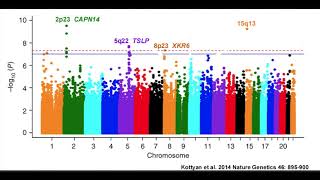 Understanding Manhattan Plots and Genomewide Association Studies [upl. by Bethel151]