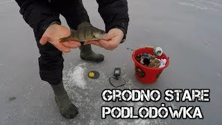 Wędkarstwo podlodowe  ZIMA 2017  Płocie okonie spod lodu  Grodno  Wędkarstwo RR 2 [upl. by Eniamzaj950]