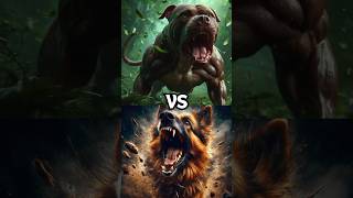 Pitbull VS Strongest Dogs [upl. by Euqinommod]