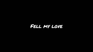 Feel my love odia song lyrics [upl. by Hgielrac704]