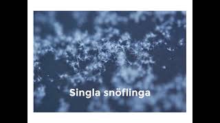 ”Singla snöflinga” blir till NATURSPANARNA [upl. by Wendelina109]