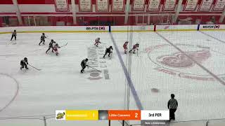 19U Honeybaked AAA vs Little Ceaser [upl. by Allare]